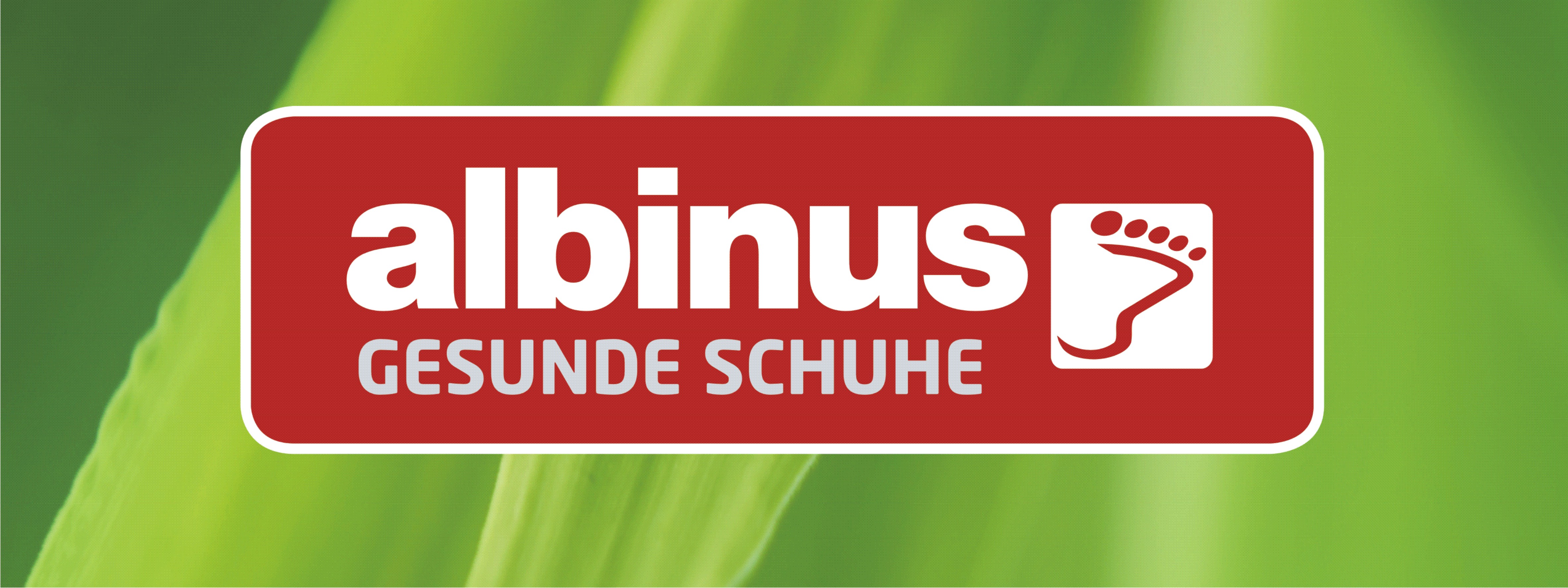 Logo von Unternehmen Orthopädieschuhtechnik Albinus GmbH
